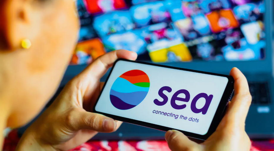 Record profits and a new entry point for Sea Limited