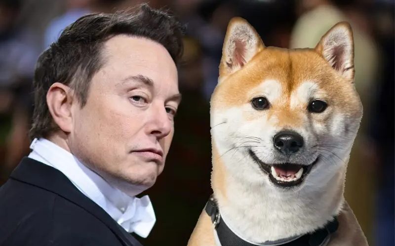 FLOKI знову в тренді. Дякуємо, Ілоне, ми скучали FLOKI знову в тренді. Дякуємо, Ілоне, ми скучали