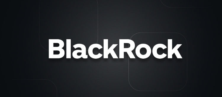 CEO BlackRock: «Біткоїн і золото виконують одну й ту саму функцію»