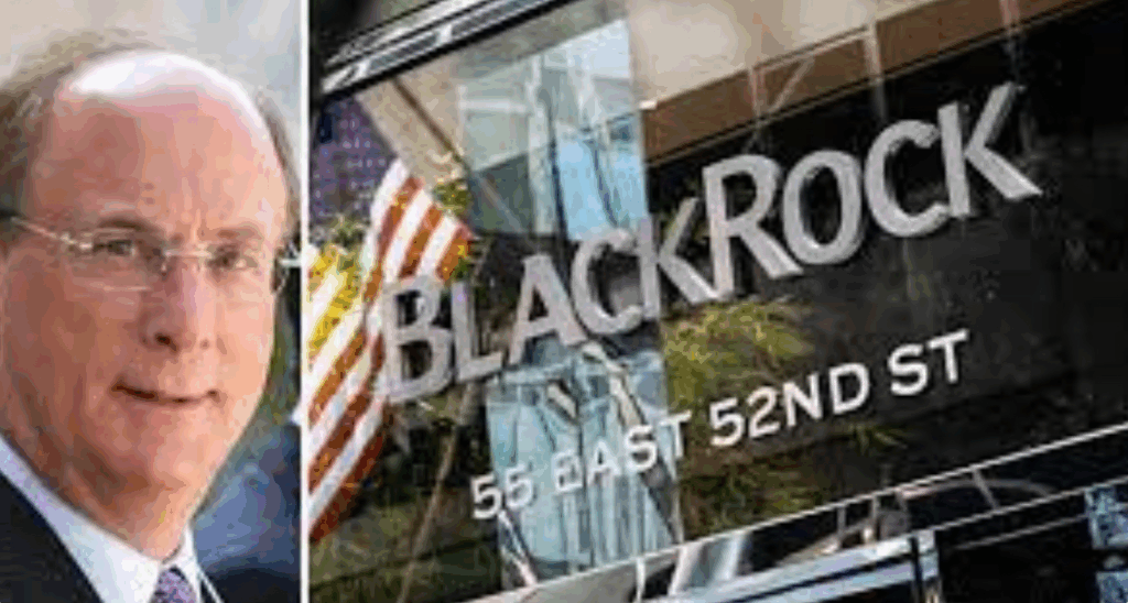 CEO BlackRock: «Біткоїн і золото виконують одну й ту саму функцію»