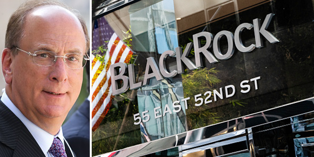 BlackRock робить ставку на ШІ BlackRock робить ставку на ШІ