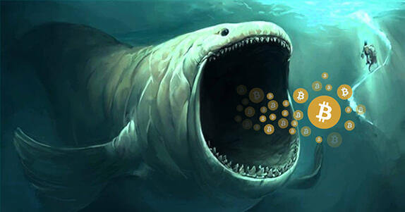 Думай быстро, действуй чётко, будь Китом!