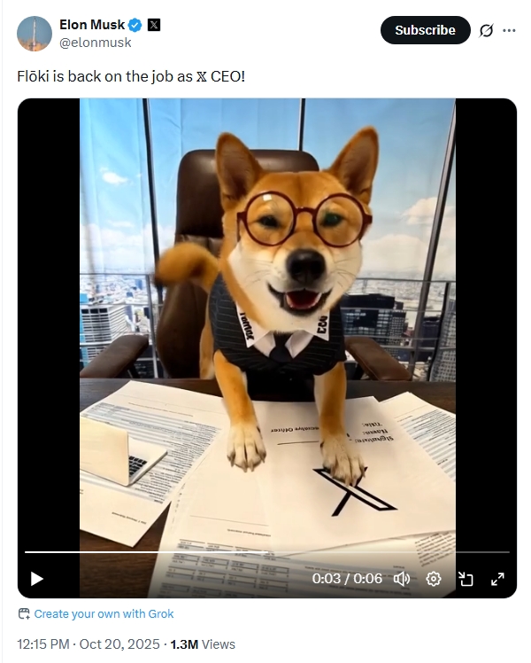 FLOKI знову в тренді. Дякуємо, Ілоне, ми скучали FLOKI знову в тренді. Дякуємо, Ілоне, ми скучали