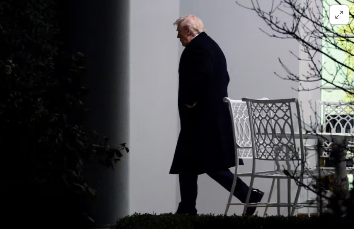 Президент-инвестор: вклад в облигации или вклад в себя? Президент-инвестор: вклад в облигации или вклад в себя?