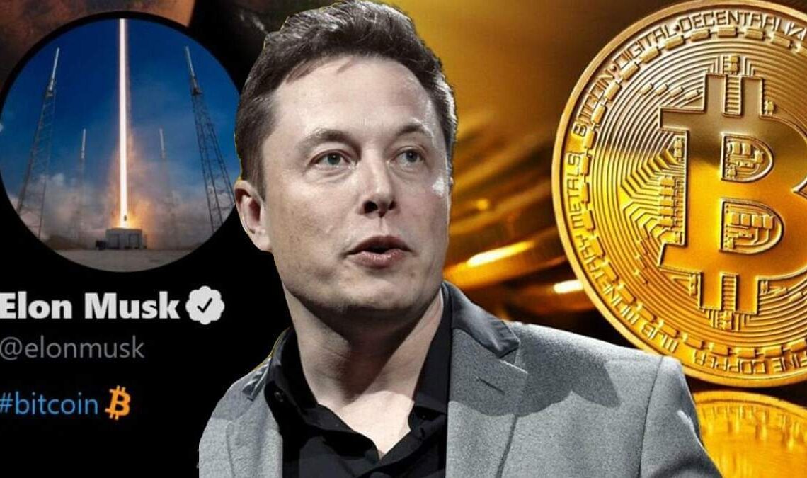 Очередные идеи для биткоина от Маска