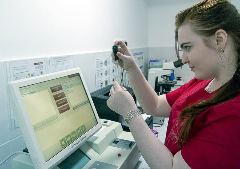 IDEXX Laboratories снова в центре внимания IDEXX Laboratories снова в центре внимания